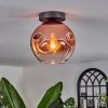 Ripoll ceiling light clear, coppery, 1-light source