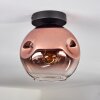 Ripoll ceiling light clear, coppery, 1-light source