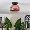 Ripoll ceiling light clear, coppery, 1-light source