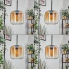 Lauden pendant light Amber, clear, Smoke-coloured, 3-light sources