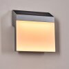 Vanhaniemi outdoor wall light LED grey, white, 1-light source