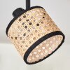 Ramila ceiling light black, 2-light sources