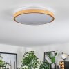 Sofo ceiling light LED white, 1-light source, Remote control