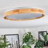 Sofo ceiling light LED white, 1-light source, Remote control