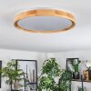 Sofo ceiling light LED white, 1-light source, Remote control