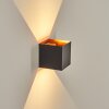 Tamarin outdoor wall light, Up & Down Light, wall light LED copper, black, 1-light source