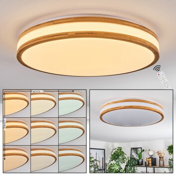 Sofo ceiling light LED white, 1-light source, Remote control