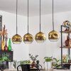 Ripoll pendant light black, 4-light sources