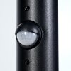 Anfei path light black, 1-light source, Motion sensor