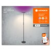 Ledvance Lights Wifi floor lamp LED black, 1-light source, Colour changer