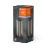 Ledvance Lights Filament decorative light LED grey, 1-light source