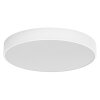 Ledvance Lights Orbis ceiling light LED white, 1-light source