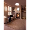 Ledvance Lights Orbis ceiling light matt nickel, 2-light sources