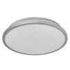 Ledvance Lights Orbis ceiling light LED silver, 1-light source