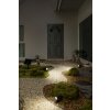 Ledvance Lights Endura garden spotlight LED black, 1-light source