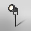 Ledvance Lights Endura garden spotlight LED black, 1-light source