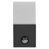 Ledvance Lights Endura wall light grey, 1-light source