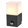 Ledvance Lights Endura wall light grey, 1-light source