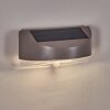 Tolerud outdoor wall light LED grey, silver, 1-light source, Motion sensor