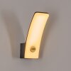 Azia outdoor wall light LED anthracite, 1-light source, Motion sensor