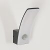 Azia outdoor wall light LED anthracite, 1-light source, Motion sensor