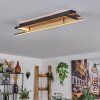 Cascada ceiling light LED brass, Ecru, black, 1-light source