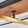 Cascada ceiling light LED brass, Ecru, black, 1-light source