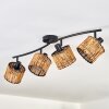 Cando ceiling light black, 4-light sources