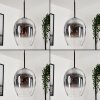 Vevino pendant light clear, Smoke-coloured, 4-light sources