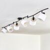 Alsen ceiling light black, 6-light sources