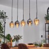 Vevino pendant light Amber, clear, Smoke-coloured, 5-light sources