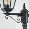 Anfei path light black, 2-light sources