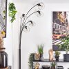 Ripoll floor lamp black, 5-light sources