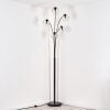 Ripoll floor lamp black, 5-light sources