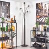 Ripoll floor lamp black, 5-light sources