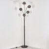 Ripoll floor lamp black, 5-light sources