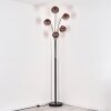 Ripoll floor lamp black, 5-light sources