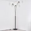 Ripoll floor lamp clear, 3-light sources