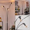 Ripoll floor lamp clear, 3-light sources