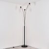 Ripoll floor lamp clear, 3-light sources