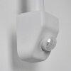 Pohei outdoor wall light white, 1-light source, Motion sensor