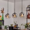 Ripoll pendant light clear, Smoke-coloured, 3-light sources