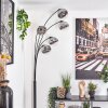 Gastor floor lamp chrome, clear, Smoke-coloured, 5-light sources