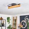 Pompu ceiling light LED Ecru, black, 1-light source