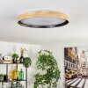 Melstad ceiling light LED Ecru, black, white, 1-light source