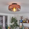 Boza ceiling light clear, coppery, 1-light source