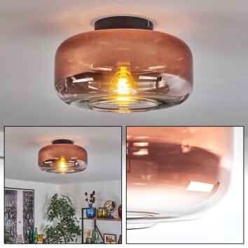 Boza ceiling light clear, coppery, 1-light source