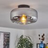 Boza ceiling light chrome, clear, Smoke-coloured, 1-light source