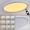 Sani Ceiling Light LED white, 1-light source, Remote control