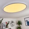 Sani Ceiling Light LED white, 1-light source, Remote control